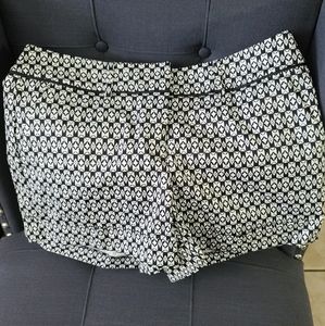 New York & Co. Shorts